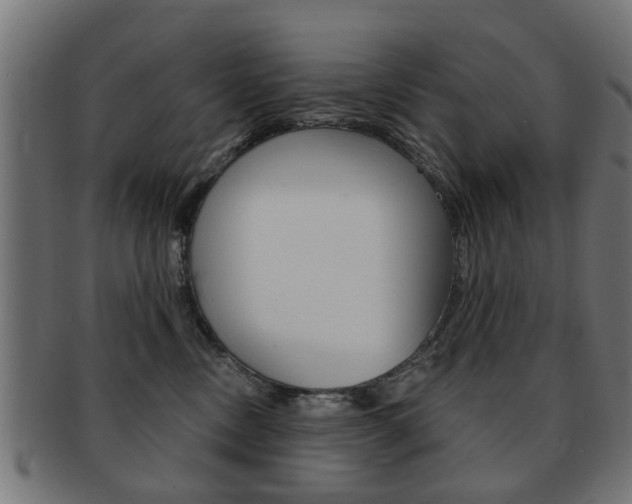 X0000091970378200709061137