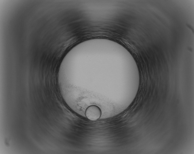 X0000091970379200709061137