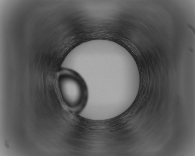 X0000091970380200709061137