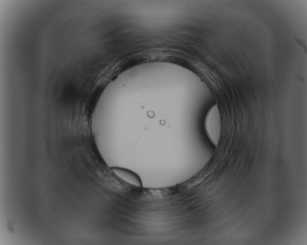 X0000091970381200709061137
