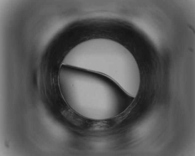 X0000091970382200709061137