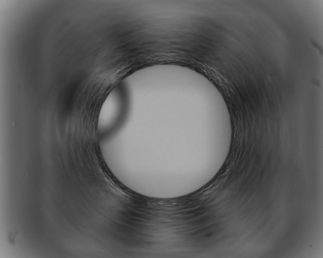 X0000091970383200709061137