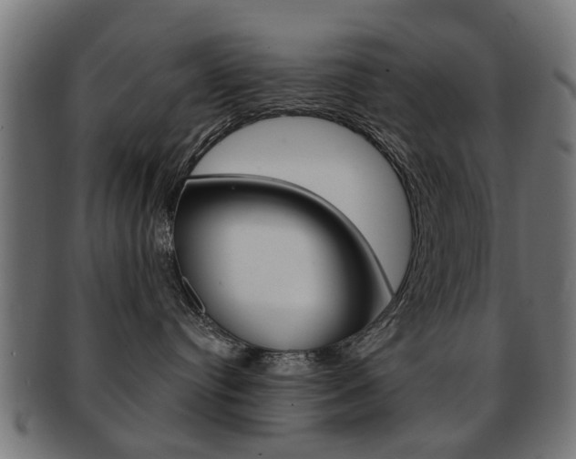 X0000091970384200709061137