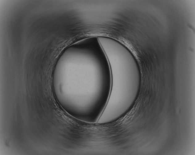 X0000091970385200709061136