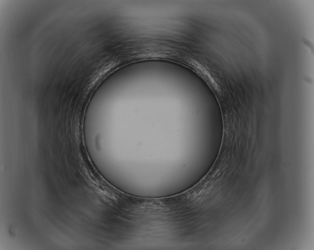 X0000091970386200709061136