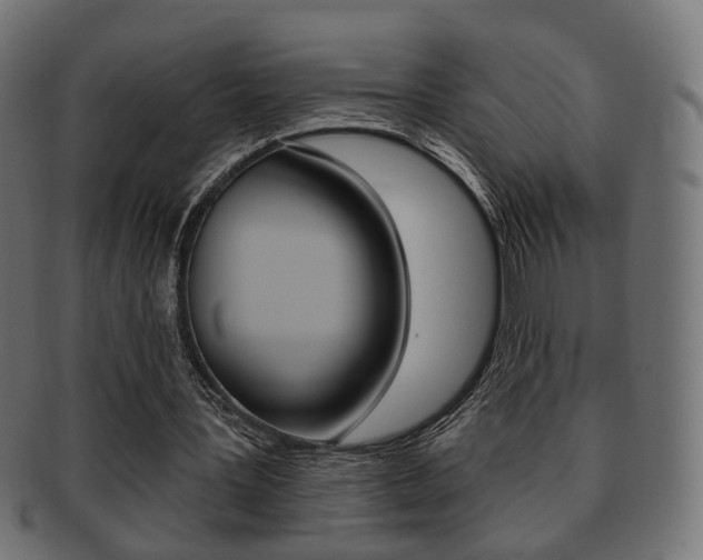 X0000091970387200709061136