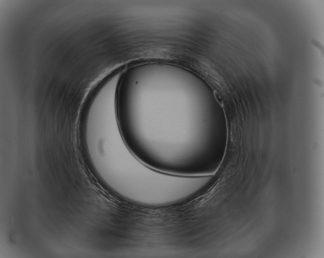 X0000091970388200709061136