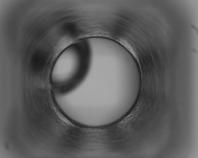 X0000091970389200709061136
