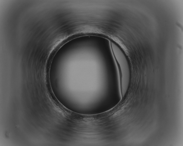 X0000091970391200709061136
