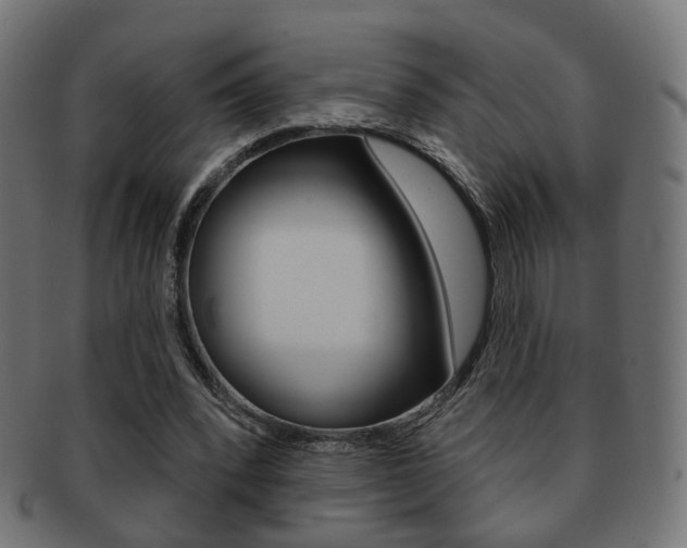 X0000091970392200709061136