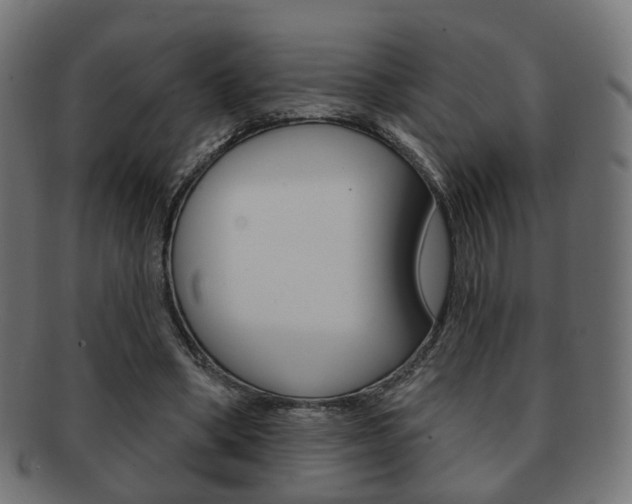 X0000091970394200709061136