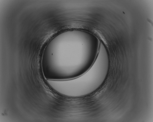 X0000091970395200709061136