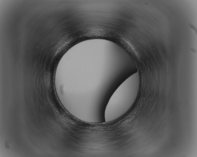 X0000091970396200709061136
