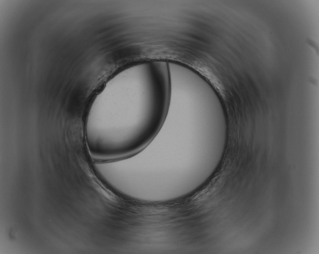 X0000091970397200709061136