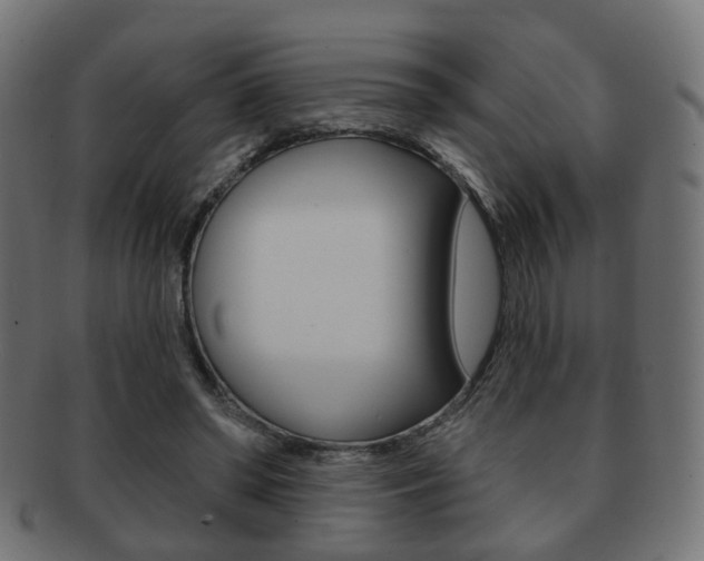 X0000091970398200709061136