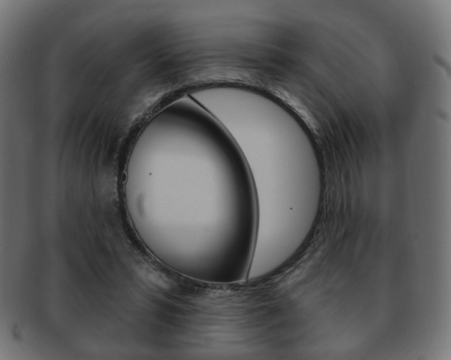 X0000091970399200709061136