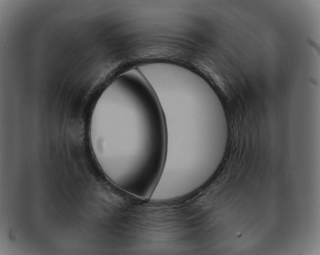 X0000091970400200709061136