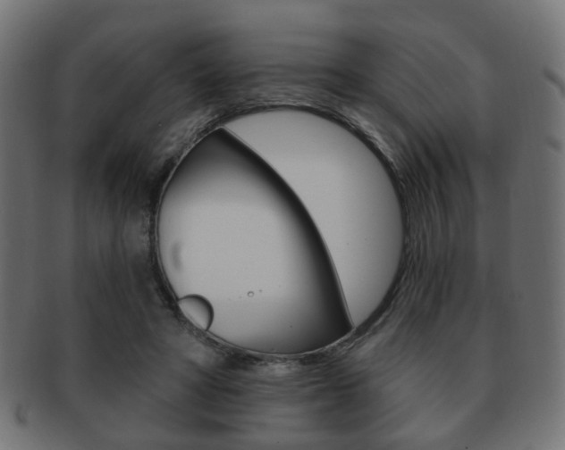 X0000091970402200709061136