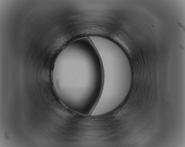 X0000091970403200709061136