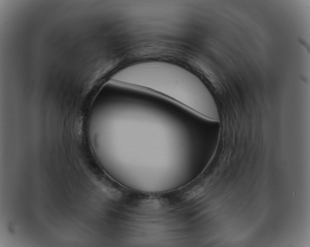 X0000091970404200709061136