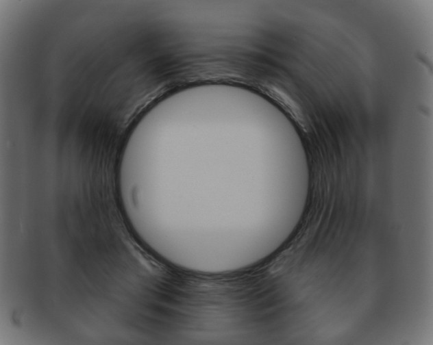 X0000091970405200709061136