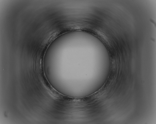 X0000091970406200709061136