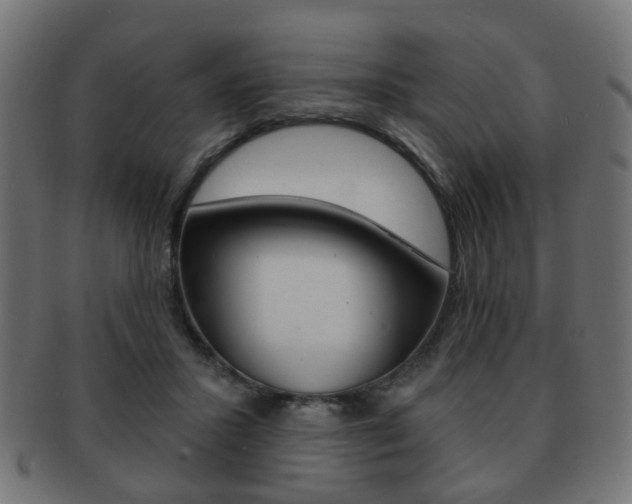 X0000091970407200709061136