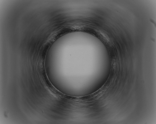 X0000091970408200709061136