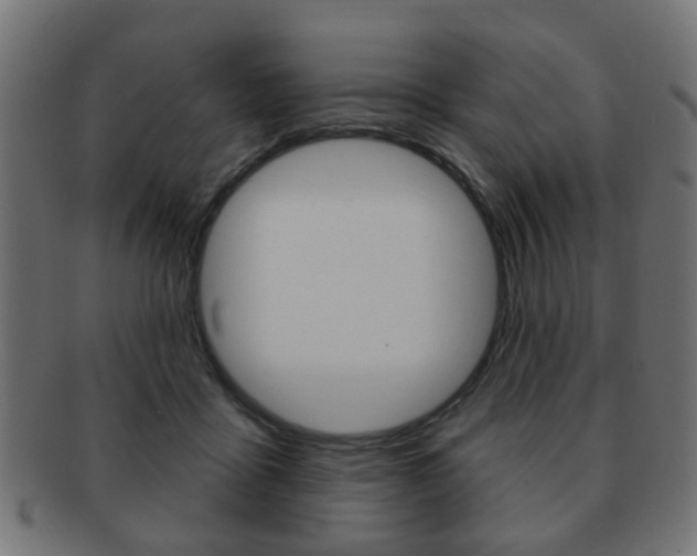 X0000091970411200709061136