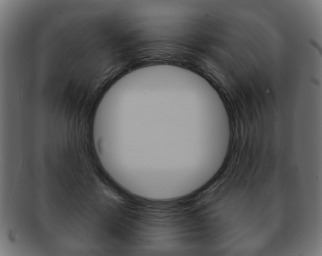 X0000091970412200709061136