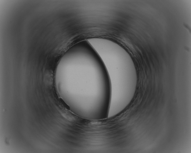 X0000091970413200709061136
