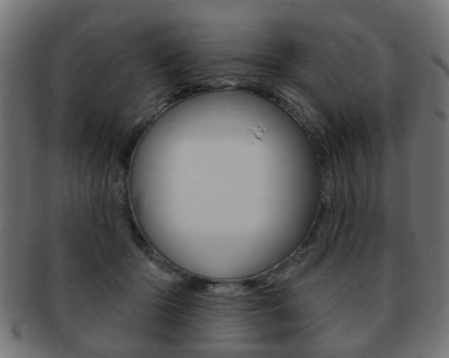 X0000091970414200709061136