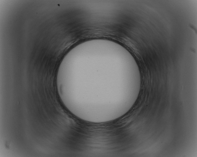 X0000091970415200709061136