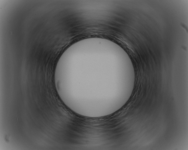 X0000091970417200709061136