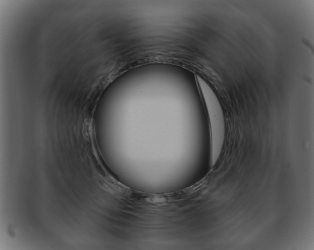 X0000091970419200709061136