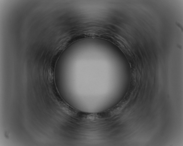 X0000091970420200709061136