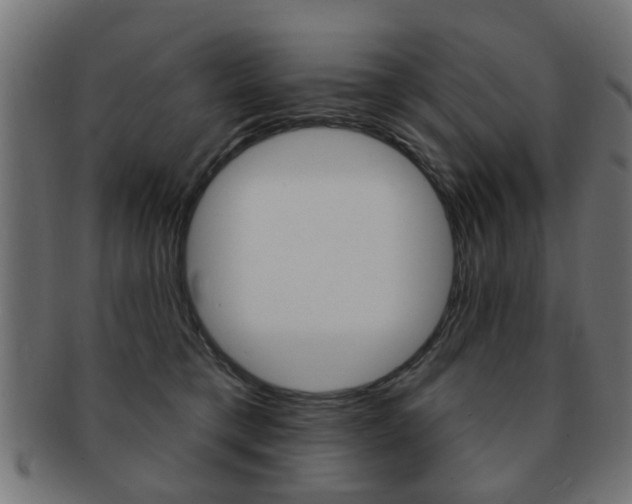 X0000091970421200709061136