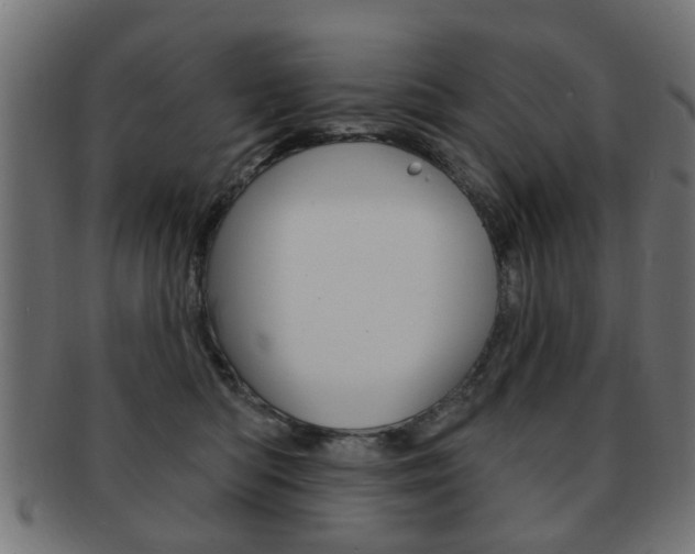 X0000091970422200709061136