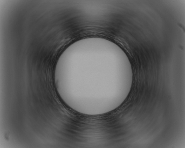 X0000091970423200709061136