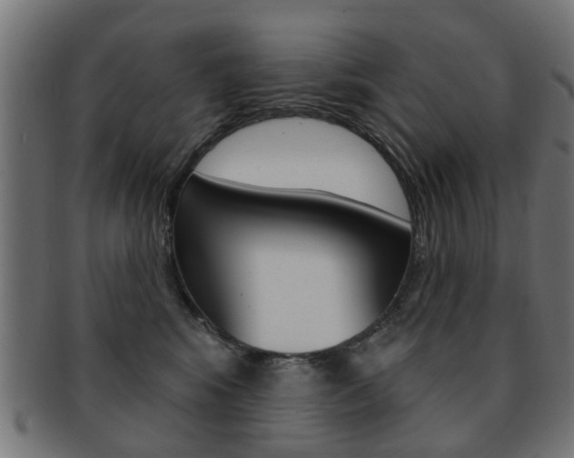 X0000091970424200709061136