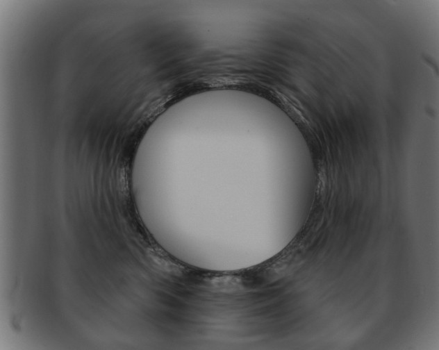 X0000091970426200709061136