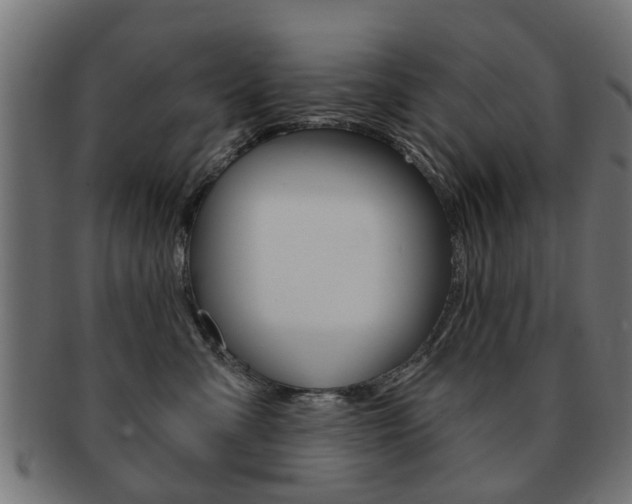 X0000091970427200709061136