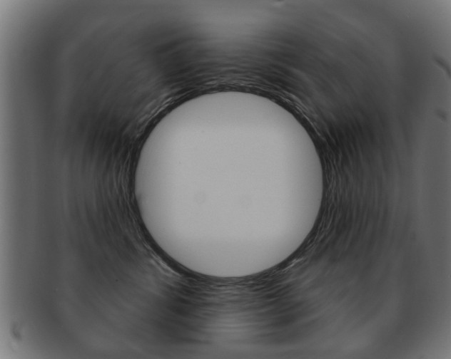 X0000091970428200709061136