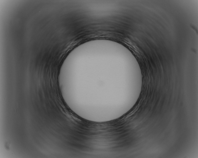 X0000091970429200709061136