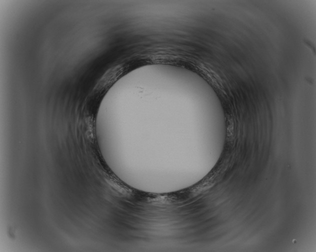 X0000091970430200709061136