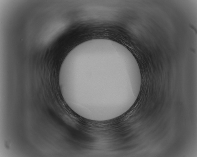 X0000091970431200709061136
