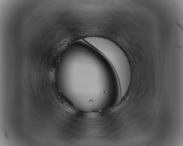 X0000091970432200709061136