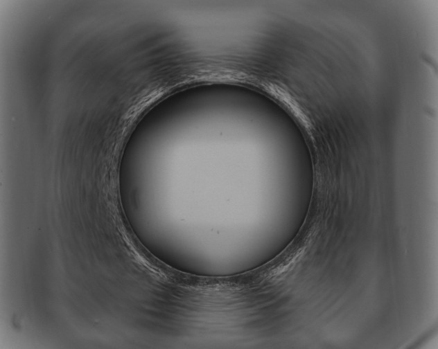 X0000091970433200709061135