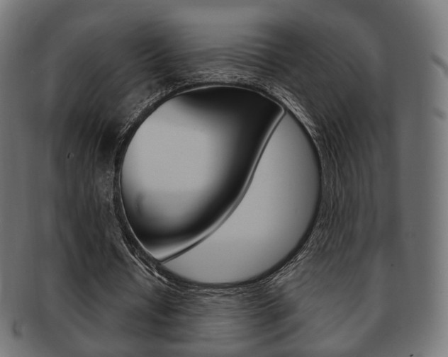 X0000091970434200709061135