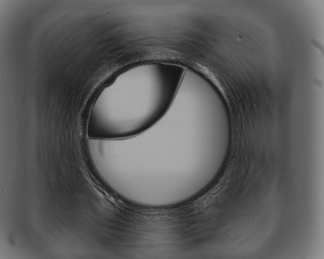 X0000091970435200709061135